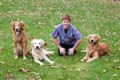 Sammie and her Goldens